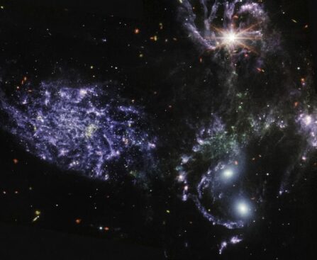 Webb telescope discovers oldest galaxies ever seen