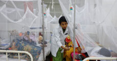 Dengue fever: 10 more dead, 2,764 hospitalized