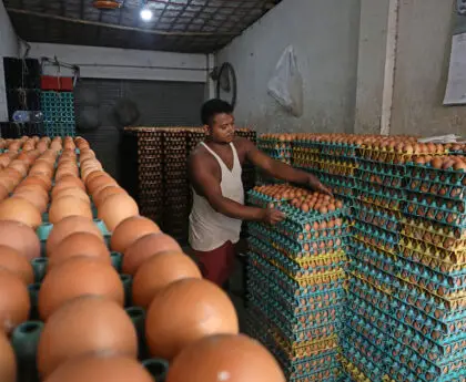 no control over egg market