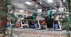 Bangladesh's 200th RMG Industry Receives LEED Green Factory Certification