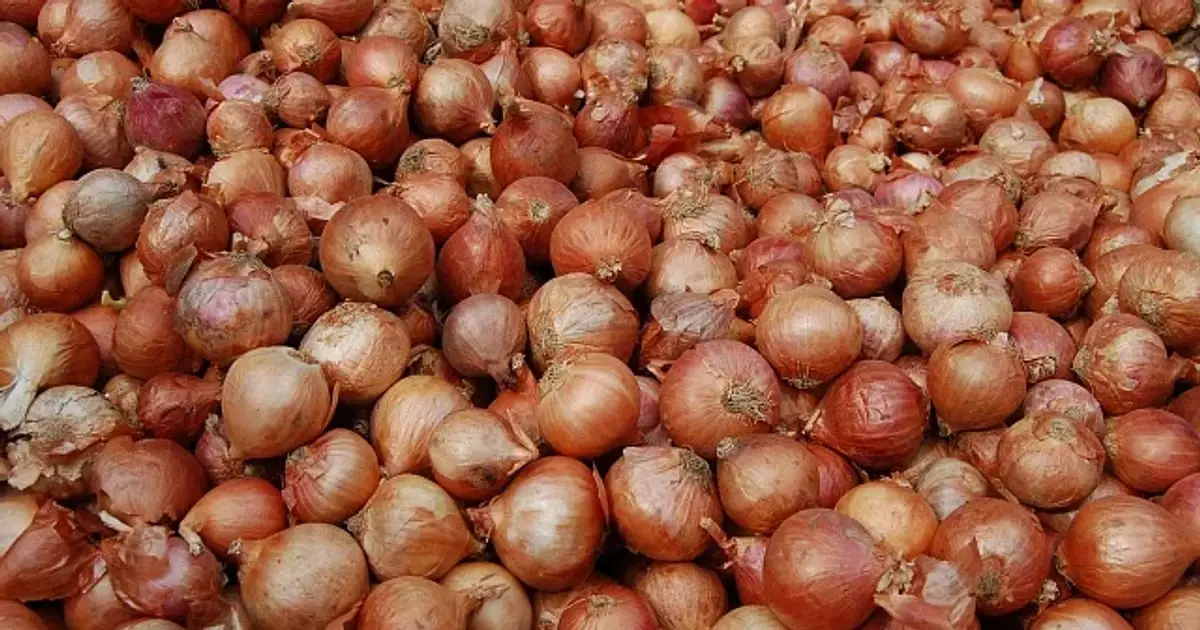 Government approves import of onions from 9 countries