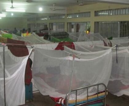 11 more dengue patients died in 24 hours, 2327 hospitalized