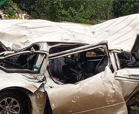 Speeding truck kills 7 co-workers on Sylhet trip