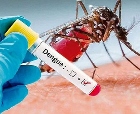 15 died due to dengue, 2,950 hospitalized