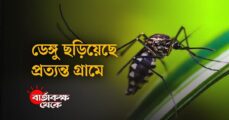 Why are the number of dengue patients higher outside Dhaka?