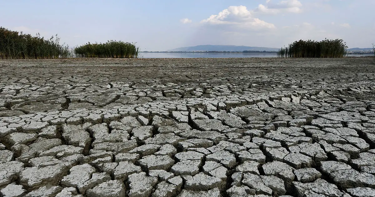 2023 likely to be the hottest year on record