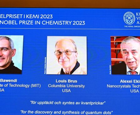 Nobel Chemistry Prize awarded for the discovery of quantum dots used in LED lights