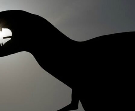 Scientists identify new species of dinosaur from footprints in Brazil