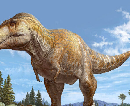 Scientists conclude New Mexico fossil is new Tyrannosaurus species