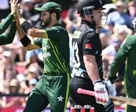 Pakistan won over New Zealand by 42 runs in the fifth T20.