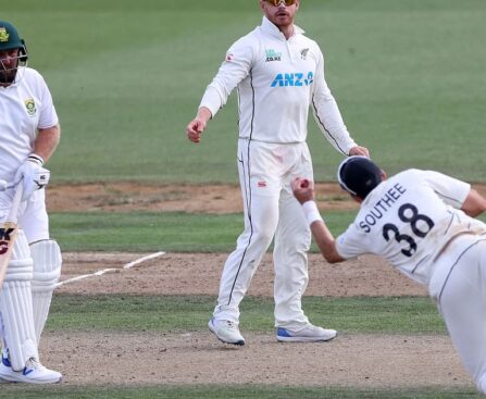 South Africa all out for 235 runs, New Zealand chased 267 runs to win the second test.  cricket news