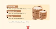 Rice prices rising despite surplus: Bangladesh faces rising demand and rising costs

