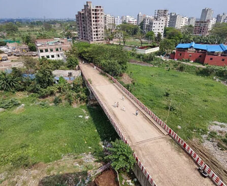 Dhaka's canals transformed into lush green fields: delay in garbage removal for years