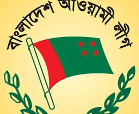 Awami League struggles to enforce party rules on relatives of MPs and ministers in upazila elections