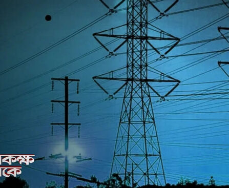 What will be the situation of power cut this summer?